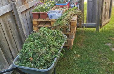 Gartenwohnung Paulsdorf - Foto 12