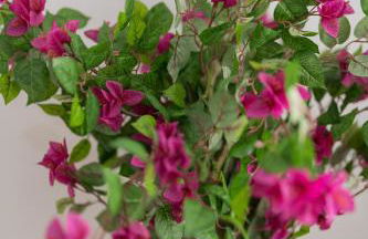 Entire home in Staffordshire - Foto 52