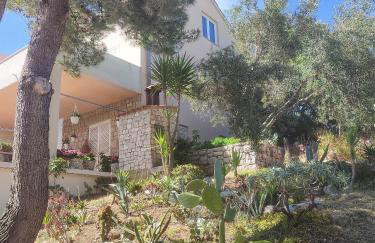 Apartments Vesna - Foto 3