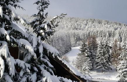 Ferienwohnungen Am Skilift - Foto 76