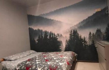 Apartamenty Pilsko Korbielów komfortowe mieszkania dla rodzin i narciarzy w Beskidach - Foto 9