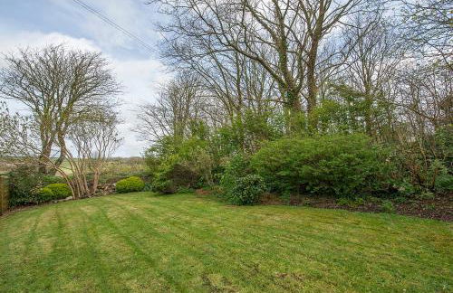 Green Meadow - Foto 9