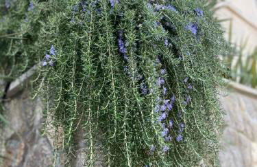 Villetta Mia - Foto 30