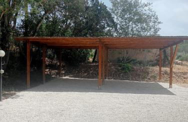 Riccio di Mare - Foto 16