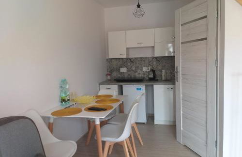 Apartamenty Pasternik 7 SUCHEDNIÓW - Foto 12