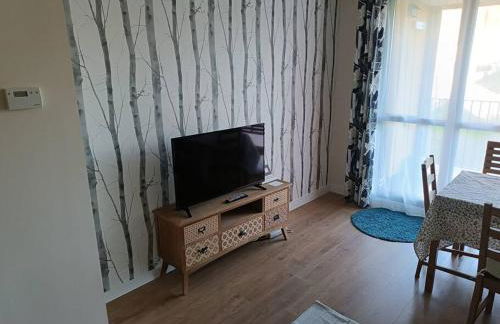 Amplio apartamento en Sabiñánigo - Las Margas Pirineo Aragones - Foto 13