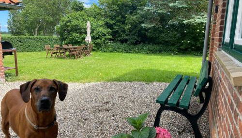 Gut Koselau Landhaus II - Foto 3