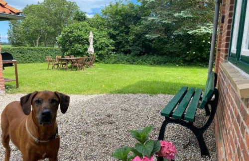 Gut Koselau Landhaus II - Foto 3