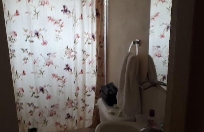 Home Style Apartments - Photo 5