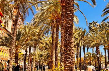 Sport2Relax Guesthouse Cabeço d'Or - Foto 54