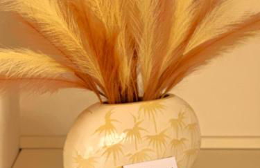 Luxury Apartment Collection Sea Suite Jacuzzi - Foto 8