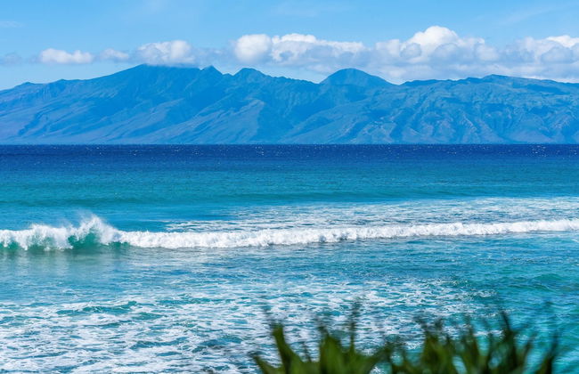 Kaleialoha 213 in Lahaina - Foto 10