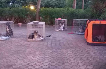 Pace, Luminosità e Comodità a due passi dal Garda - Foto 18