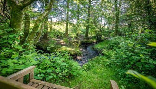 Llys-Derwin - Photo 4