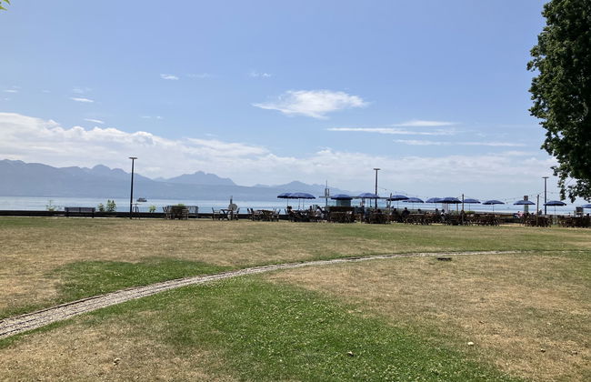 Petit Nid de Pully - Foto 14