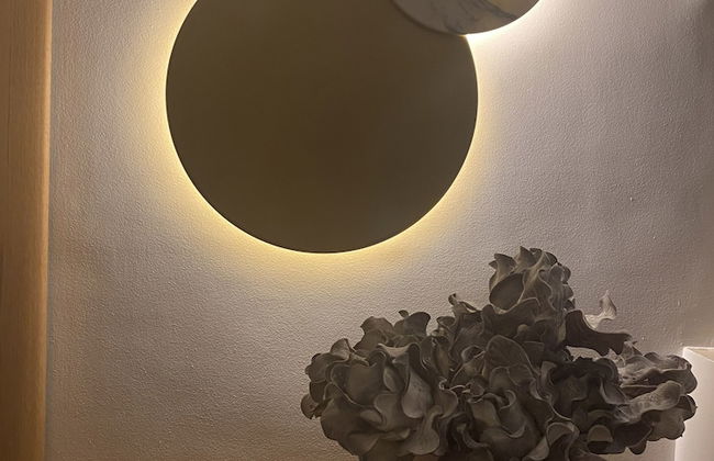 Brasil Suites Boutique Hotel - Foto 64