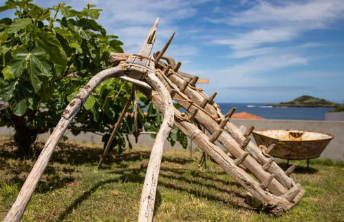 Portas do Ilhéu - Foto 27