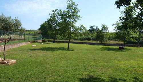 Holiday Home Rosa - Foto 5