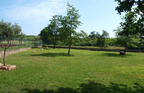 Holiday Home Rosa - Foto 5