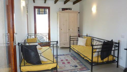 Hermitage mimosa - Photo 3