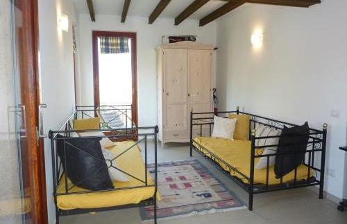 Hermitage mimosa - Photo 3