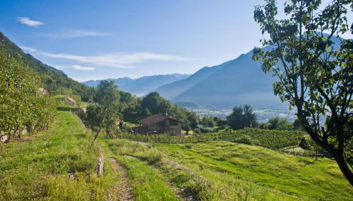 Agriturismo Ruc del Lac - Foto 5