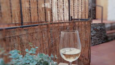 The Voltina - Foto 2