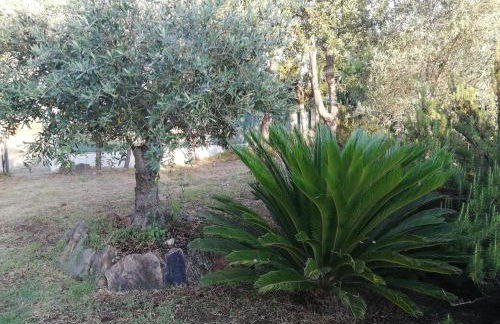 La Cuppulata - Foto 33