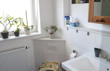 Wonderworld - Foto 22