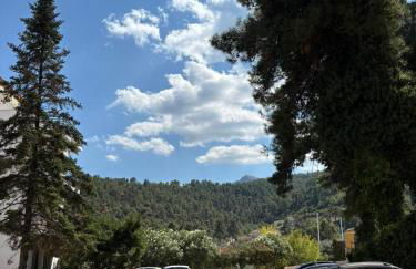 Nisteri Seaside - Photo 46