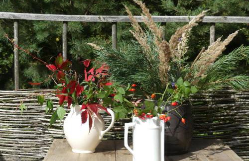 Jeżynowy Domek - Sulistrowice - Photo 39