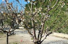 Domaines des confines - Photo 61