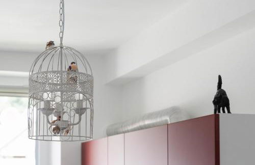 Il gatto Franco - Photo 21