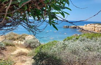 Baia Village - Galé - Albufeira - Foto 56