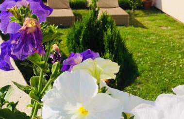 Mare E Sabbia - Foto 58