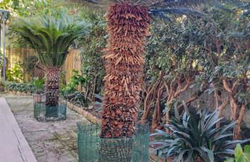 La casa di Ulisse - Foto 27