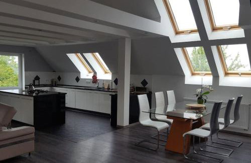 Apartamenty Holiday Slaw jacuzzi bilard - Foto 41