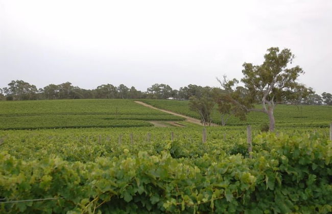 Barristers Block Vigneron Villa - Foto 9