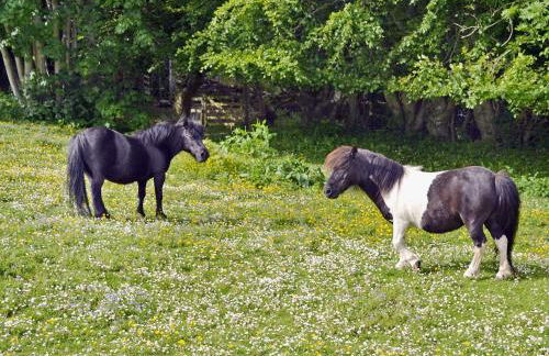 Kinnettas Cottage - Foto 10