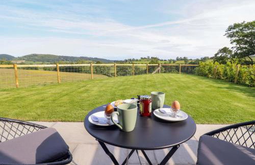 Defaid Cymreig - Foto 21