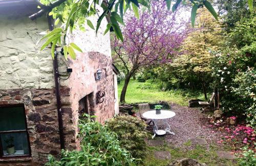 Garden Cottage Wiveliscombe - Foto 14