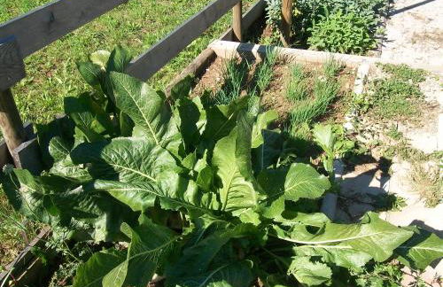 Agritur Scoiattolo - Foto 49