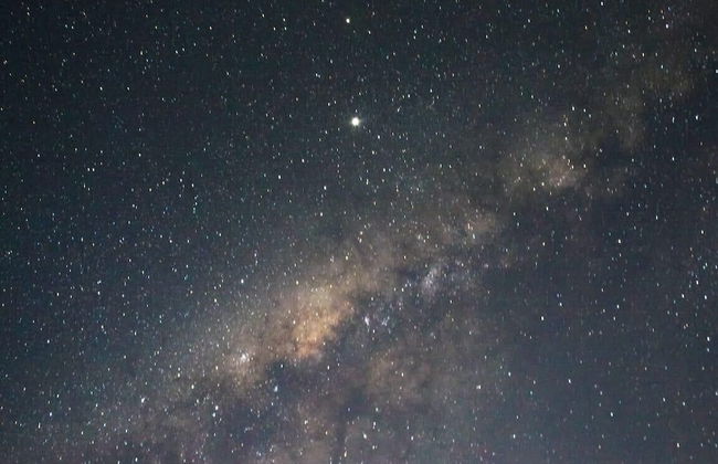 Farmless Home - Foto 61