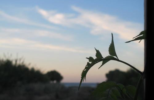 Nikolas Apartments - Foto 50