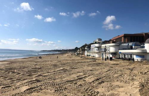 New Forest lodge - 194 NO PETS - Photo 27