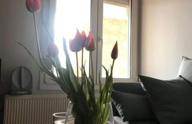 Lemon & Lavender - Photo 28