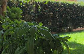 Casa SERENAS, a 5 minuti dal mare con parcheggio, clima e tutto il necessario per la tua vacanza in relax - Foto 49