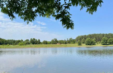 Leśne zacisze nad Narwią - Foto 2