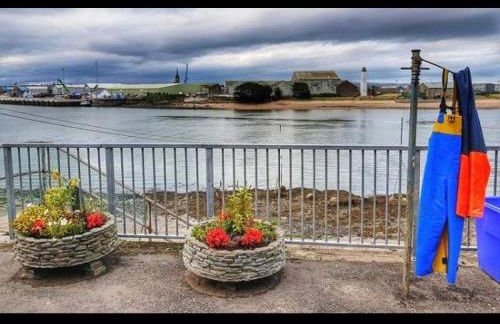 The Thin Seagull 4 Beacon Terrace Ferryden - Photo 40