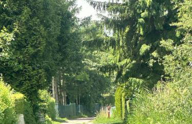 Domek nad jeziorem z własnym pomostem - Foto 19